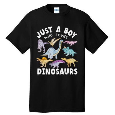 Dinosaur Lover Tee Dinosaur Tee Dino Tall T-Shirt