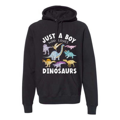 Dinosaur Lover Tee Dinosaur Tee Dino Premium Hoodie