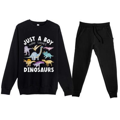 Dinosaur Lover Tee Dinosaur Tee Dino Premium Crewneck Sweatsuit Set