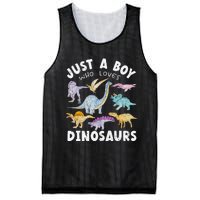 Dinosaur Lover Tee Dinosaur Tee Dino Mesh Reversible Basketball Jersey Tank