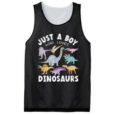 Dinosaur Lover Tee Dinosaur Tee Dino Mesh Reversible Basketball Jersey Tank