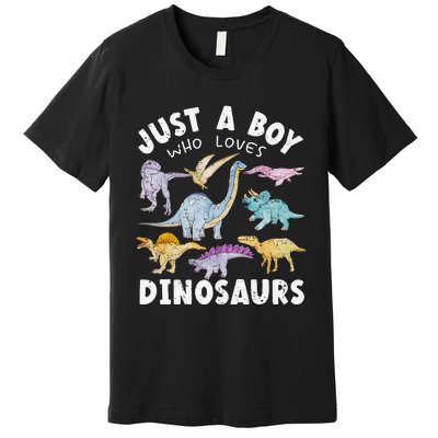 Dinosaur Lover Tee Dinosaur Tee Dino Premium T-Shirt