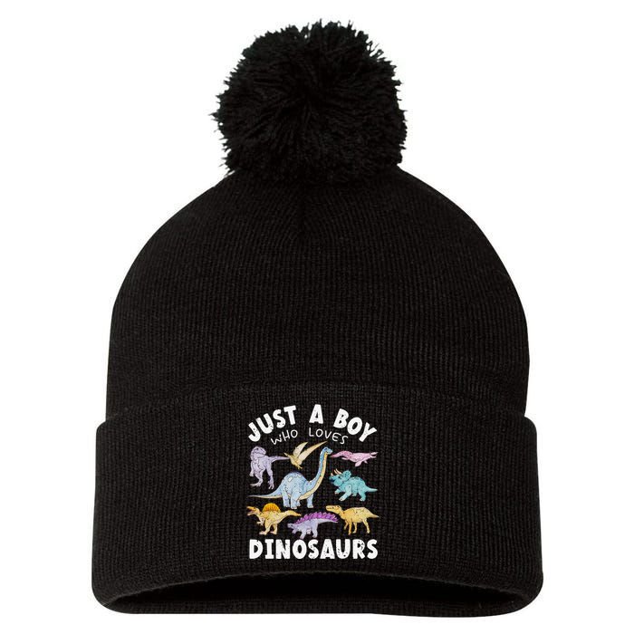 Dinosaur Lover Tee Dinosaur Tee Dino Pom Pom 12in Knit Beanie