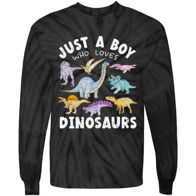 Dinosaur Lover Tee Dinosaur Tee Dino Tie-Dye Long Sleeve Shirt