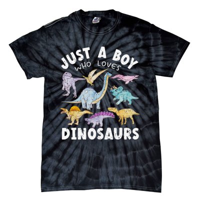 Dinosaur Lover Tee Dinosaur Tee Dino Tie-Dye T-Shirt