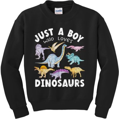 Dinosaur Lover Tee Dinosaur Tee Dino Kids Sweatshirt