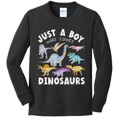 Dinosaur Lover Tee Dinosaur Tee Dino Kids Long Sleeve Shirt