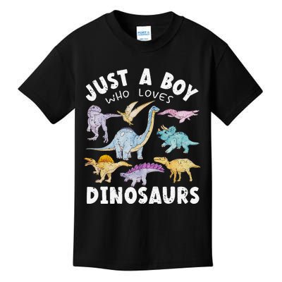 Dinosaur Lover Tee Dinosaur Tee Dino Kids T-Shirt