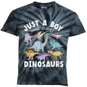 Dinosaur Lover Tee Dinosaur Tee Dino Kids Tie-Dye T-Shirt