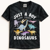 Dinosaur Lover Tee Dinosaur Tee Dino Kids Tie-Dye T-Shirt