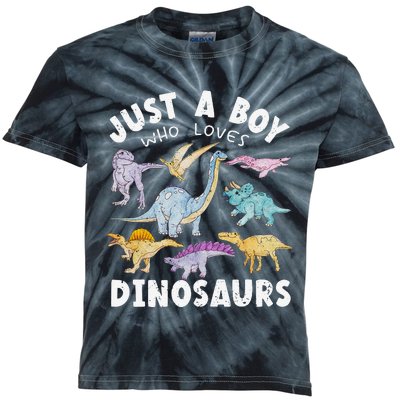 Dinosaur Lover Tee Dinosaur Tee Dino Kids Tie-Dye T-Shirt