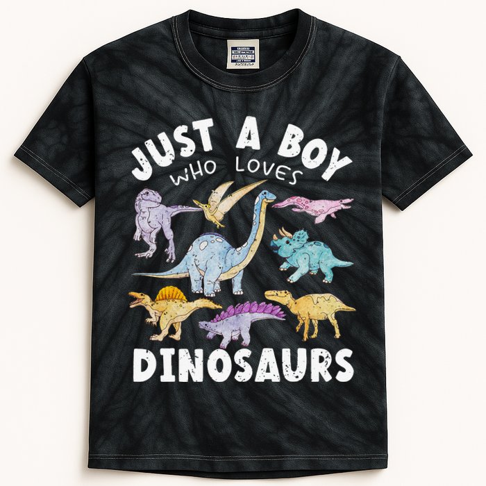 Dinosaur Lover Tee Dinosaur Tee Dino Kids Tie-Dye T-Shirt