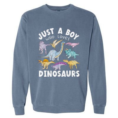 Dinosaur Lover Tee Dinosaur Tee Dino Garment-Dyed Sweatshirt