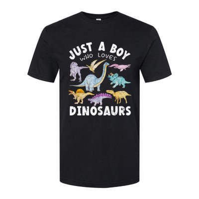 Dinosaur Lover Tee Dinosaur Tee Dino Softstyle CVC T-Shirt