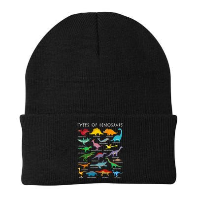 Dinosaur Lover Types Of Dinosaurs Different Dinosaurs Beanie