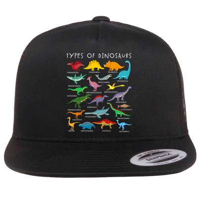 Dinosaur Lover Types Of Dinosaurs Different Dinosaurs Flatbill Hat