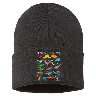 Dinosaur Lover Types Of Dinosaurs Different Dinosaurs Sustainable Knit Beanie