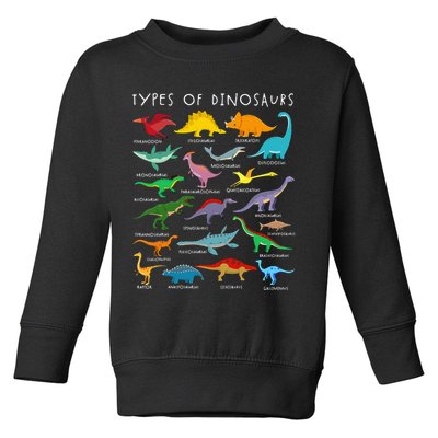 Dinosaur Lover Types Of Dinosaurs Different Dinosaurs Toddler Sweatshirt