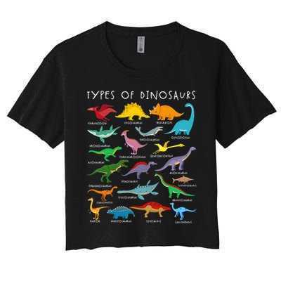 Dinosaur Lover Types Of Dinosaurs Different Dinosaurs Crop Top
