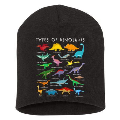 Dinosaur Lover Types Of Dinosaurs Different Dinosaurs Short Acrylic Beanie