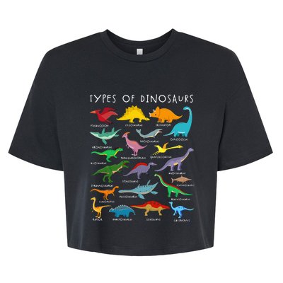 Dinosaur Lover Types Of Dinosaurs Different Dinosaurs Bella+Canvas Jersey Crop Tee