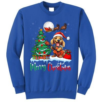 Dog Lover Xmas Tree Santa Hat Merry Christmas Dachshund Dog Great Gift Sweatshirt