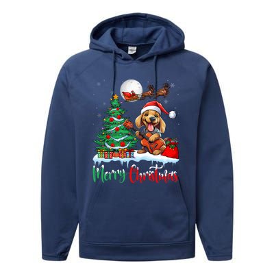 Dog Lover Xmas Tree Santa Hat Merry Christmas Dachshund Dog Great Gift Performance Fleece Hoodie