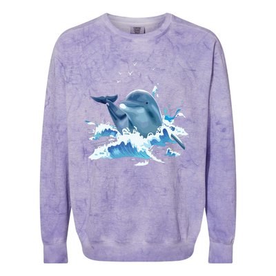 Dolphin Lover Zookeeper Marine Biologist Sea Animal Lover Colorblast Crewneck Sweatshirt