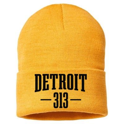 Detroit Michigan 313 Area Code Pride Retro Sustainable Knit Beanie