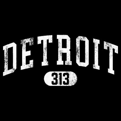 Detroit Michigan Area Code 313 Souvenir T-Shirt