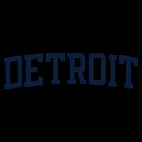 Detroit Michigan Collegiate Style Varsity Block Letter Sustainable Beanie