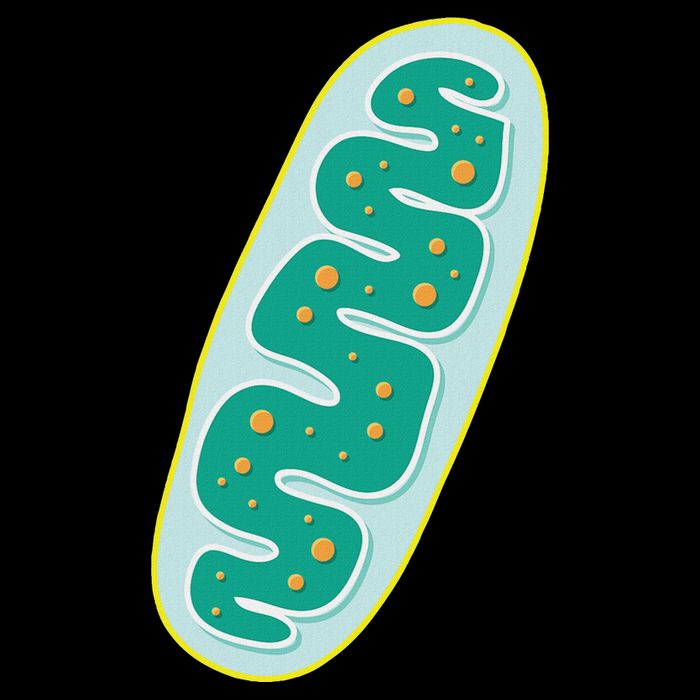 Diy Mitochondria Costume Funny Biology Teacher Button