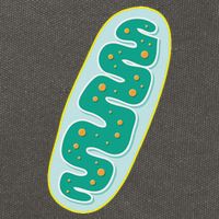 Diy Mitochondria Costume Funny Biology Teacher Cotton Canvas Backpack