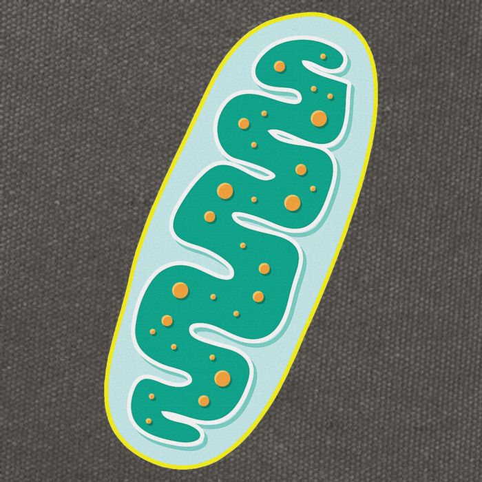 Diy Mitochondria Costume Funny Biology Teacher Cotton Canvas Backpack