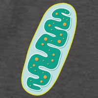 Diy Mitochondria Costume Funny Biology Teacher Vector Backpack