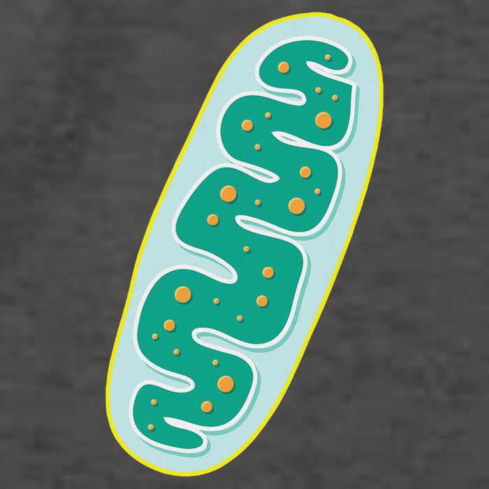 Diy Mitochondria Costume Funny Biology Teacher Vector Backpack