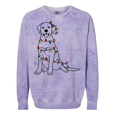 Dog Mom Christmas Lights Family Pet Dog Lover Colorblast Crewneck Sweatshirt