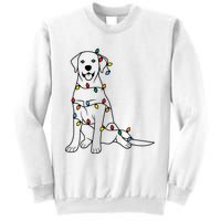 Dog Mom Christmas Lights Family Pet Dog Lover Sweatshirt