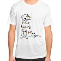 Dog Mom Christmas Lights Family Pet Dog Lover Adult ChromaSoft Performance T-Shirt