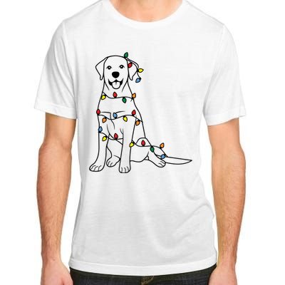 Dog Mom Christmas Lights Family Pet Dog Lover Adult ChromaSoft Performance T-Shirt