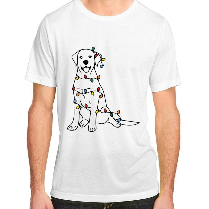 Dog Mom Christmas Lights Family Pet Dog Lover Adult ChromaSoft Performance T-Shirt