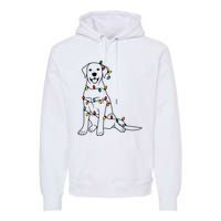 Dog Mom Christmas Lights Family Pet Dog Lover Premium Hoodie