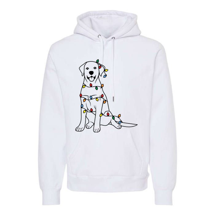 Dog Mom Christmas Lights Family Pet Dog Lover Premium Hoodie