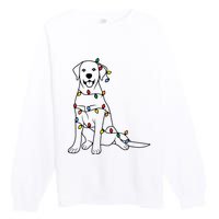 Dog Mom Christmas Lights Family Pet Dog Lover Premium Crewneck Sweatshirt