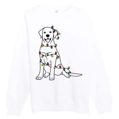 Dog Mom Christmas Lights Family Pet Dog Lover Premium Crewneck Sweatshirt