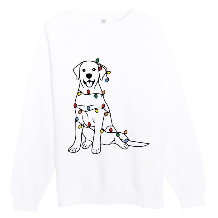 Dog Mom Christmas Lights Family Pet Dog Lover Premium Crewneck Sweatshirt