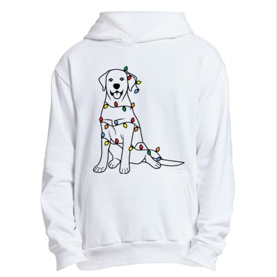 Dog Mom Christmas Lights Family Pet Dog Lover Urban Pullover Hoodie