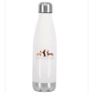 Dachshund Merry Christmas Cute Plaid Leopard Doxie Dog Xmas Gift Stainless Steel Insulated Water Bottle