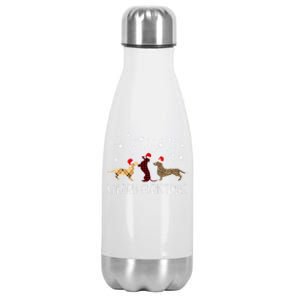 Dachshund Merry Christmas Cute Plaid Leopard Doxie Dog Xmas Gift Stainless Steel Insulated Water Bottle