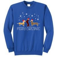 Dachshund Merry Christmas Cute Plaid Leopard Doxie Dog XMas Meaningful Gift Sweatshirt